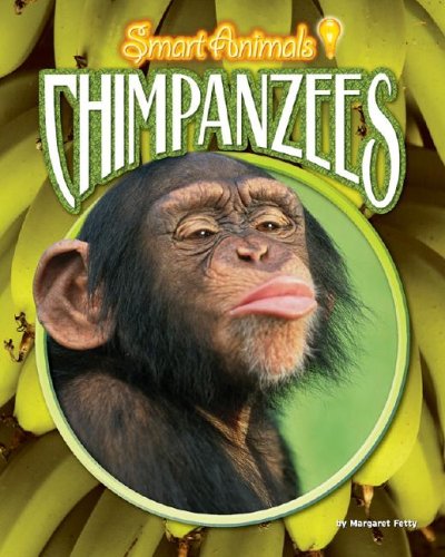 9781597161596: Chimpanzees (Smart Animals)