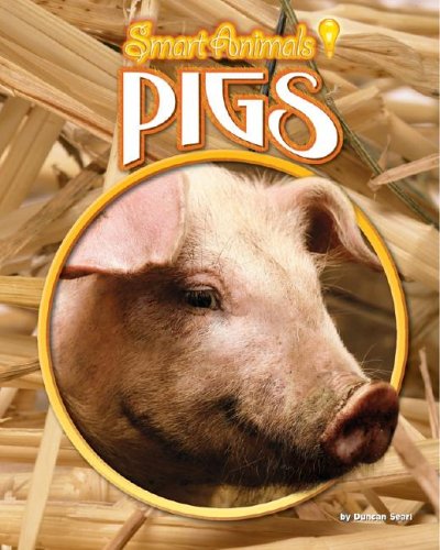 9781597161640: Pigs