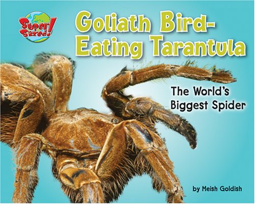 Goliath Bird-Eating Tarantula: The World's Biggest Spider (Supersized!) (9781597163897) by Goldish, Meish