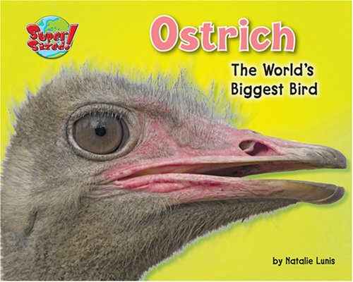 Ostrich: The World's Biggest Bird (Supersized!) (9781597163941) by Lunis, Natalie