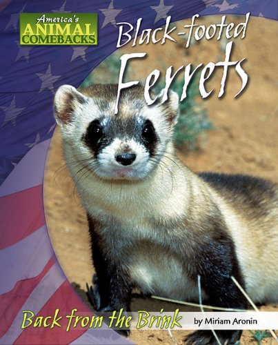 Beispielbild fr Black-Footed Ferrets : Back from the Brink zum Verkauf von Better World Books