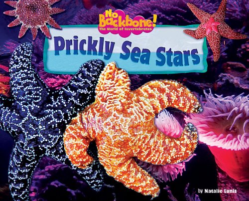 Imagen de archivo de Prickly Sea Stars (No Backbone! The World of Invertebrates) a la venta por Gulf Coast Books