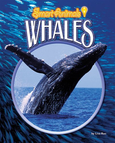 Stock image for Whales for sale by Better World Books: West