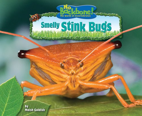 9781597165808: Smelly Stink Bugs (No Backbone! Insects)