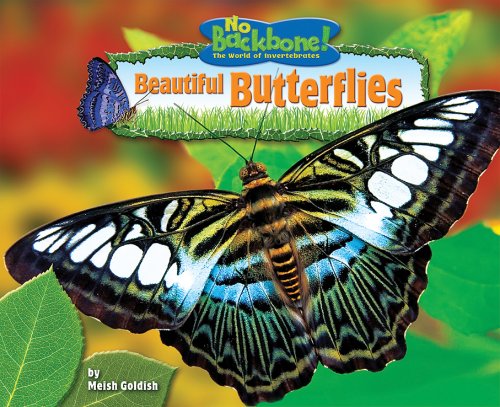 9781597165877: Beautiful Butterflies (No Backbone! The World of Invertebrates)