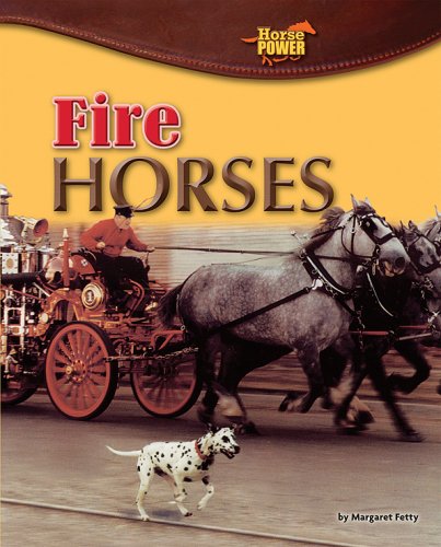 Imagen de archivo de Fire Horses (Horse Power) a la venta por Library House Internet Sales