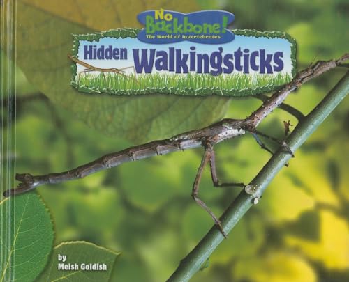 Hidden Walkingsticks (No Backbone! Insects) (9781597166461) by Goldish, Meish