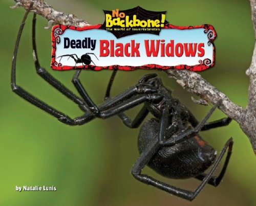 Stock image for Deadly Black Widows (No Backbone! the World of Invertebrates) for sale by SecondSale