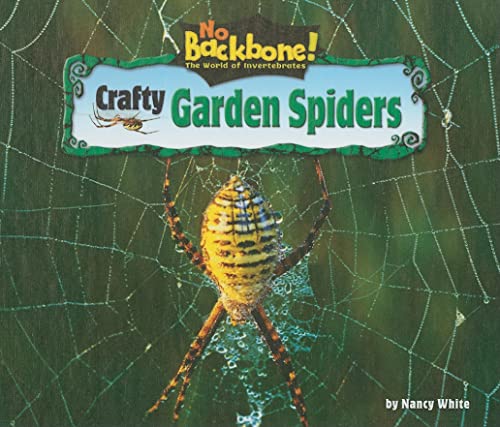 Crafty Garden Spiders (No Backbone! Spiders) (9781597167031) by White, Nancy
