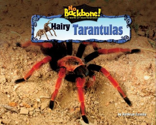 Beispielbild fr Hairy Tarantulas zum Verkauf von Better World Books