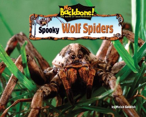 Spooky Wolf Spiders (No Backbone! Spiders) (9781597167062) by Goldish, Meish