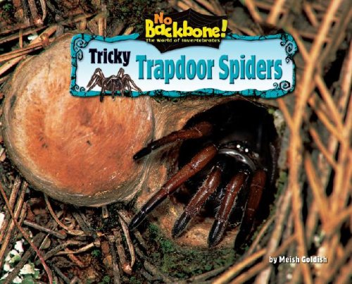 Imagen de archivo de Tricky Trapdoor Spiders a la venta por Better World Books