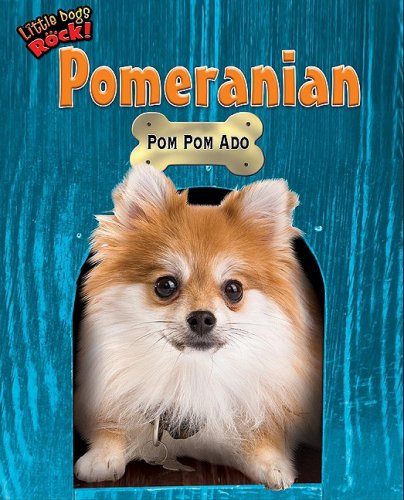 Imagen de archivo de Pomeranian: POM POM ADO a la venta por ThriftBooks-Dallas