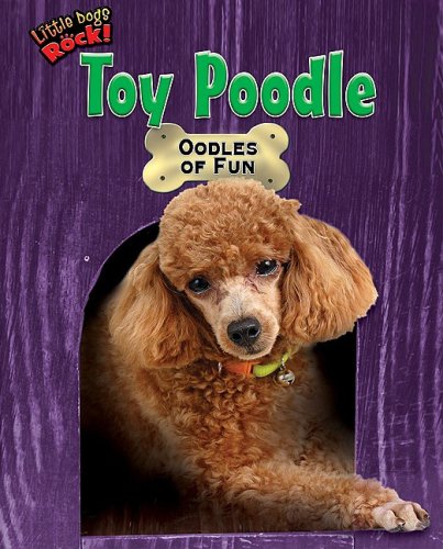 Stock image for Toy Poodle : Oodles of Fun for sale by Better World Books