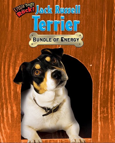 Beispielbild fr Jack Russell Terrier : Bundle of Energy zum Verkauf von Better World Books