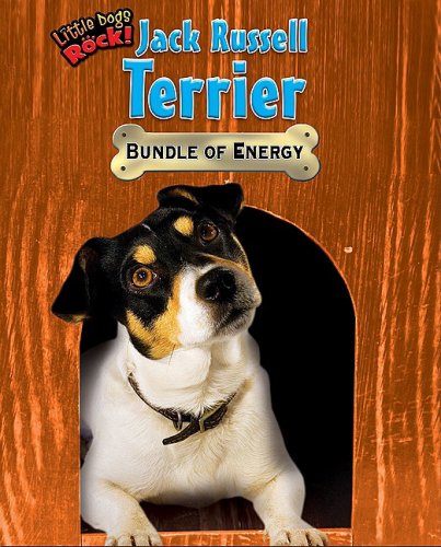 Jack Russell Terrier: Bundle of Energy (Little Dogs Rock!) (9781597167475) by Lunis, Natalie