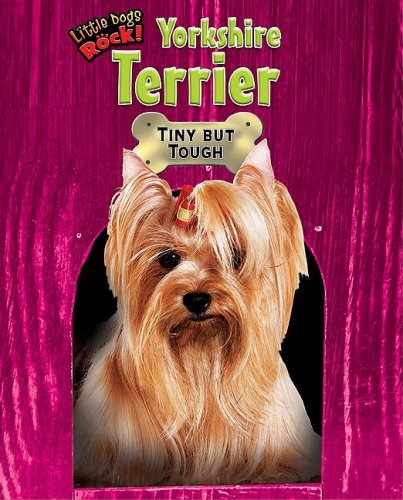 Yorkshire Terrier: Tiny but Tough (Little Dogs Rock!) (9781597167482) by Fetty, Margaret