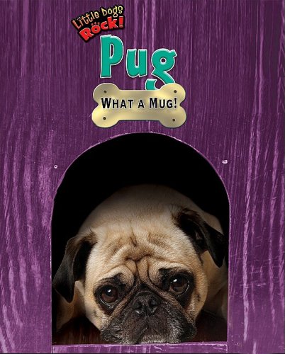 Pug: What a Mug! (Little Dogs Rock!) (9781597167505) by Houran, Lori Haskins