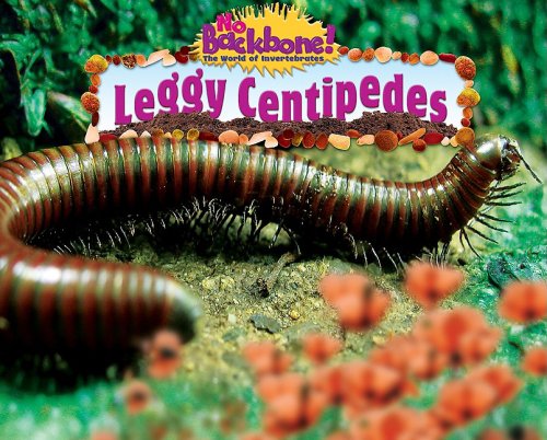 Leggy Centipedes (No Backbone! Creepy Crawlers) (9781597167529) by Lunis, Natalie