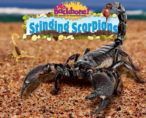 Stinging Scorpions (No Backbone! Creepy Crawlers) (9781597167567) by Lunis, Natalie