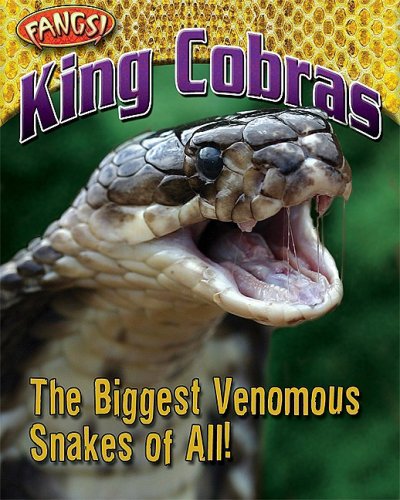 King Cobras: The Biggest Venomous Snakes of All! (Fangs) (9781597167673) by White, Nancy