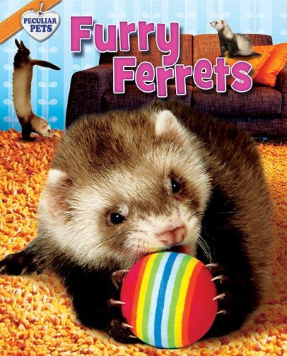 Imagen de archivo de Furry Ferrets a la venta por Better World Books