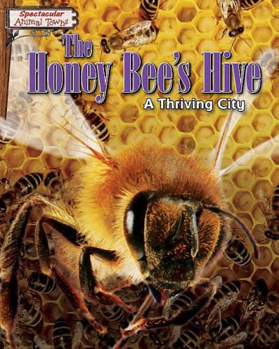 Beispielbild fr The Honey Bee's Hive : A Thriving City zum Verkauf von Better World Books