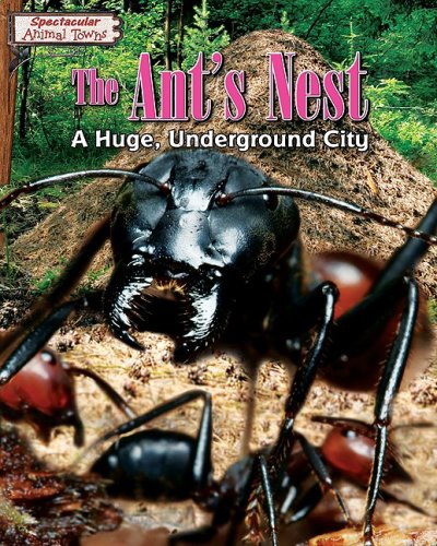 9781597168687: The Ant's Nest: A Huge, Underground City (Spectacular Animal Towns)