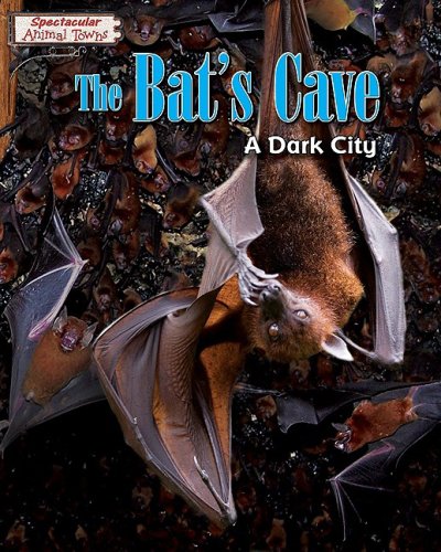9781597168717: The Bat's Cave: A Dark City