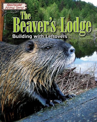 Imagen de archivo de The Beaver's Lodge : Building with Leftovers a la venta por Better World Books