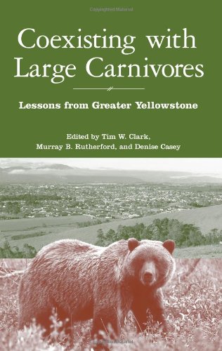 Imagen de archivo de Coexisting with Large Carnivores: Lessons From Greater Yellowstone a la venta por Irish Booksellers