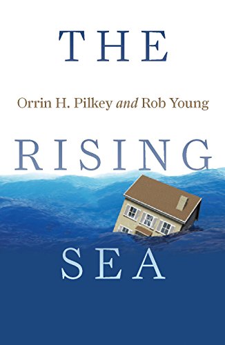 Beispielbild fr The Rising Sea zum Verkauf von ThriftBooks-Dallas