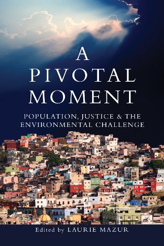 Imagen de archivo de A Pivotal Moment a la venta por Books Puddle