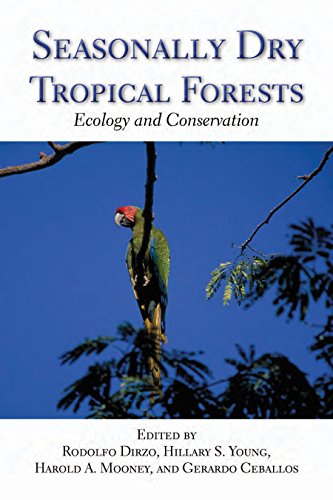 Beispielbild fr Seasonally Dry Tropical Forests: Ecology and Conservation zum Verkauf von Friends of  Pima County Public Library