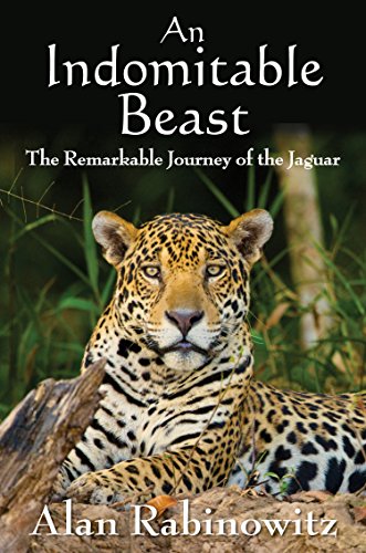 Stock image for An Indomitable Beast: The Remarkable Journey of the Jaguar for sale by ThriftBooks-Dallas