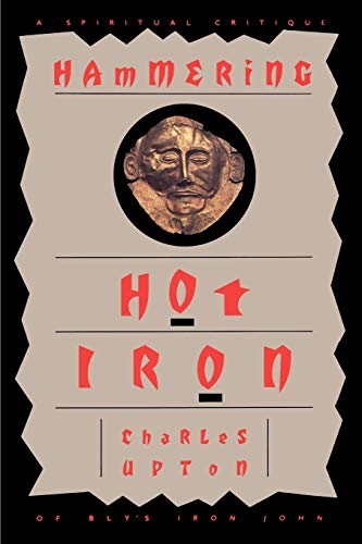 Beispielbild fr Hammering Hot Iron: A Spiritual Critique of Bly's Iron John zum Verkauf von AwesomeBooks