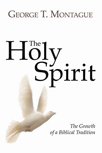 Stock image for Holy Spirit The Growth of a Biblical Tradition for sale by TextbookRush