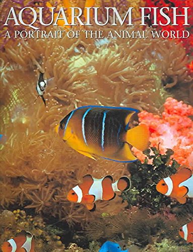 Beispielbild fr Aquarium Fish: A Portrait of the Animal World zum Verkauf von WorldofBooks