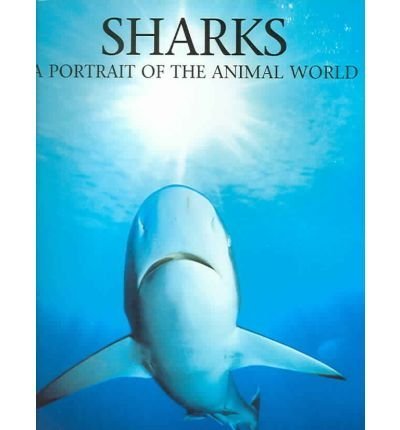 Stock image for Sharks for sale by PBShop.store US