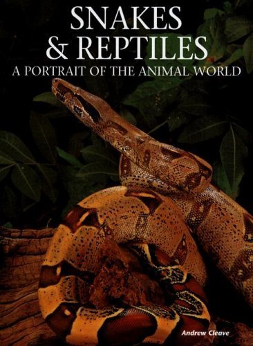 Stock image for Snakes and Reptiles: A Portrait of the Animal World for sale by HPB Inc.