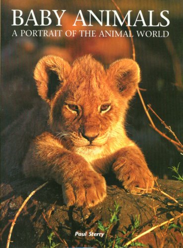 9781597641098: Baby Animals: A Portrait of the Animal World