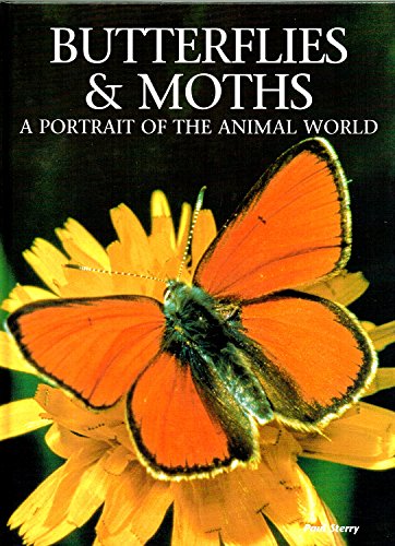 Stock image for Butterflies & Moths: A Portrait of the Animal World for sale by Hippo Books