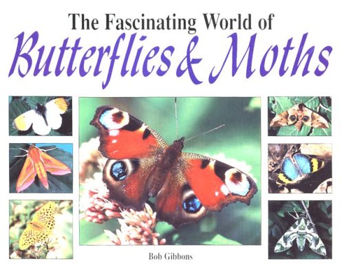 Beispielbild fr The Fascinating World of Butterflies & Moths zum Verkauf von AwesomeBooks