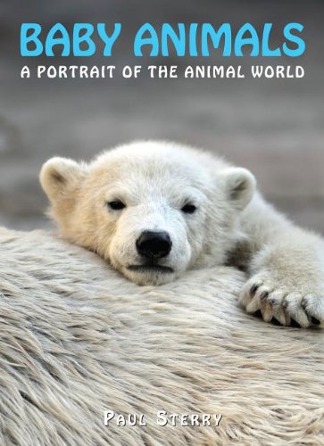 Stock image for Baby Animals (A Portrait of the Animal World) for sale by Hippo Books