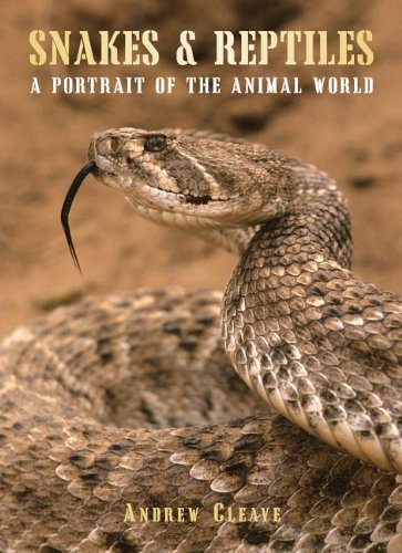 Stock image for Snakes & Reptiles: A Portrait of the Animal World (The Portraits of the Animal World) for sale by WorldofBooks