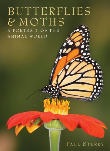 9781597643221: Butterflies & Moths (A Portrait of the Animal World)