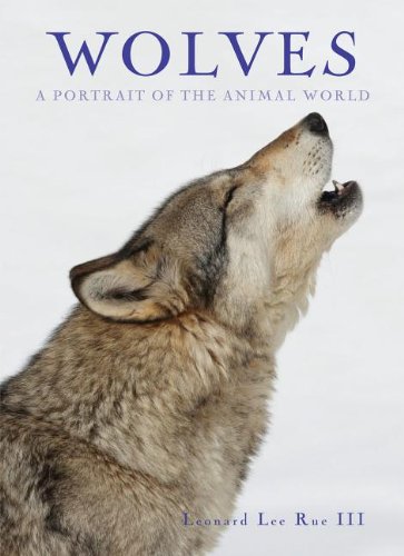 Stock image for Wolves A Portrait of the Animal World for sale by PBShop.store US