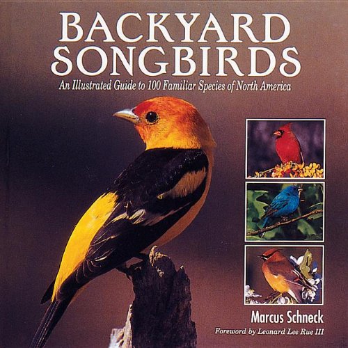 Stock image for Backyard Songbirds: An Illustrated Guide to 100 Familiar Species of North America for sale by THEVILLAGEBOOKSTORE