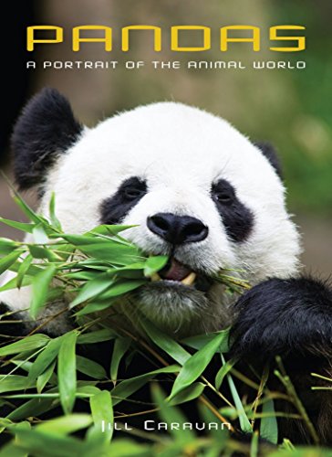 9781597643504: Pandas: A Portrait of the Animal World