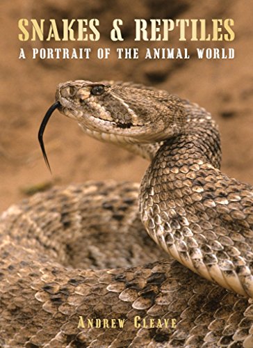 Stock image for Snakes & Reptiles (A Portrait of the Animal World) for sale by Wonder Book